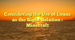 Considering the Use of Loans as the Right Solution : Minecraft