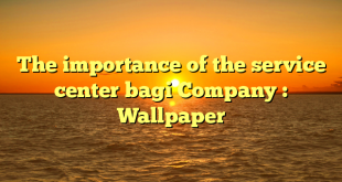 The importance of the service center bagi Company : Wallpaper